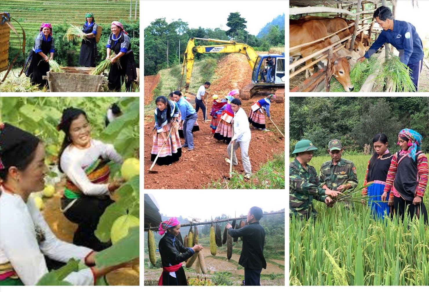 Nguồn vốn đối ứng của ngân sách địa phương để thực hiện các chương trình mục tiêu quốc gia còn khó khăn do sụt giảm các nguồn thu.