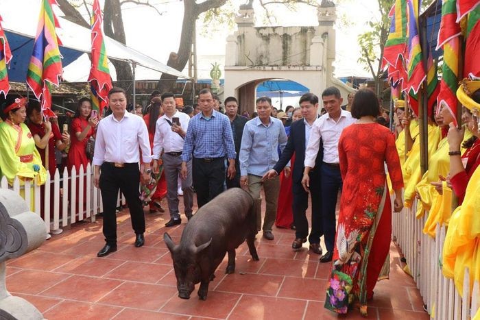 Tục rước “Ông Lang”- phong tục đẹp ở làng Tân Phượng (Bắc Giang)