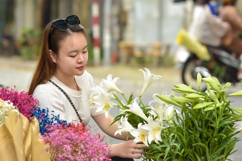 Thời điểm chụp ảnh đẹp nhất với hoa loa kèn là vào sáng sớm hoặc chiều muộn.