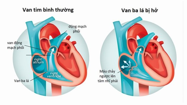 Minh họa/INT