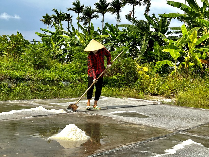 Nghề trồng muối vất vả quanh năm "bán mặt cho đất, bán lưng cho trời".