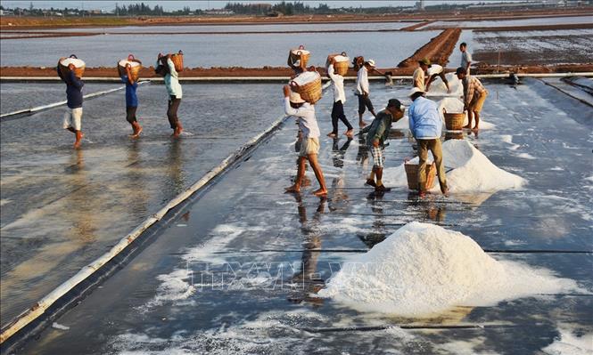 Diêm dân có mức sống trung bình có thể liên hệ với Ngân hàng Chính sách xã hội để vay vốn.