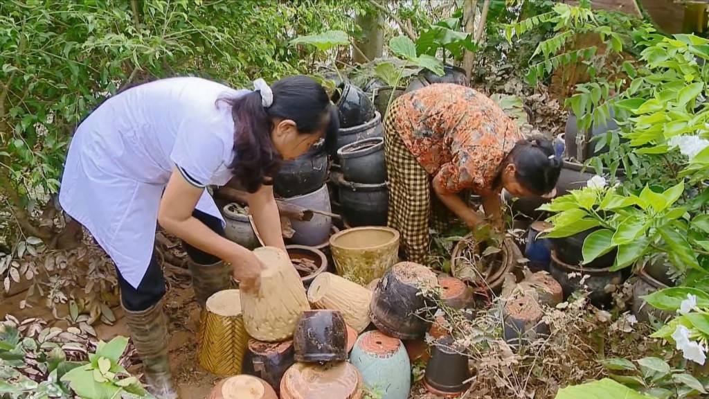 Tập trung xử lý môi trường, phòng chống dịch bệnh