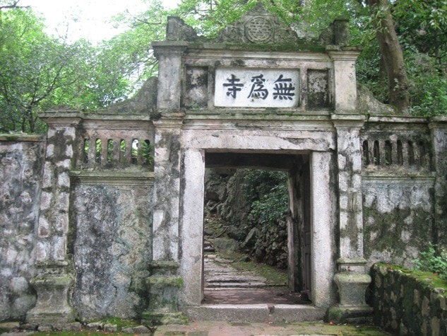 cong-chua-vo-vi.jpg