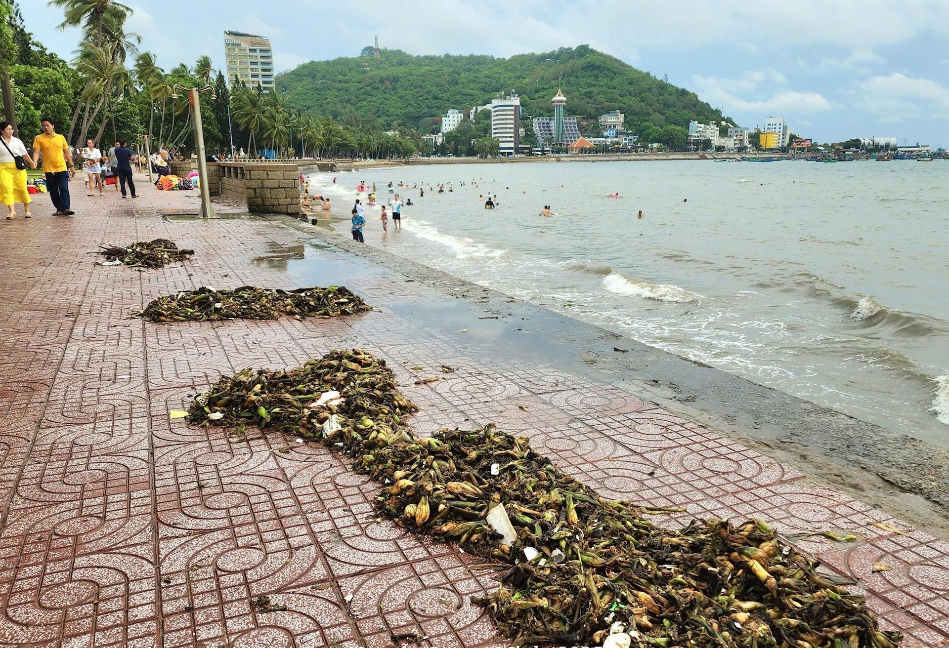 a7.vung-tau.jpg