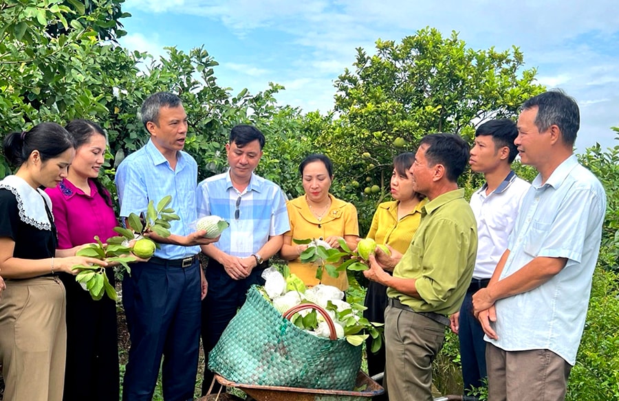 nong-dan.jpg
