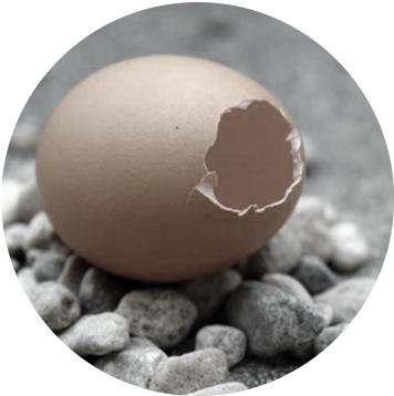 Nếu thu nhỏ nhà hát Opera Hà Nội bằng một quả trứng, thì mái vòm này còn mỏng hơn cả vỏ trứng Nếu thu nhỏ nhà hát Opera Hà Nội bằng một quả trứng, thì mái vòm này còn mỏng hơn cả vỏ trứng