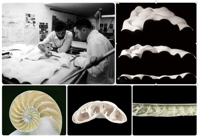 Kết cấu vỏ mái sử dụng các công nghệ số tiên tiến nhất Kết cấu vỏ mái sử dụng các công nghệ số tiên tiến nhất