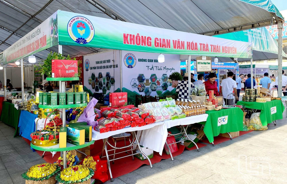 Hợp tác xã điện tử được coi là giải pháp an toàn giúp hộ kinh doanh bước vào môi trường doanh nghiệp.