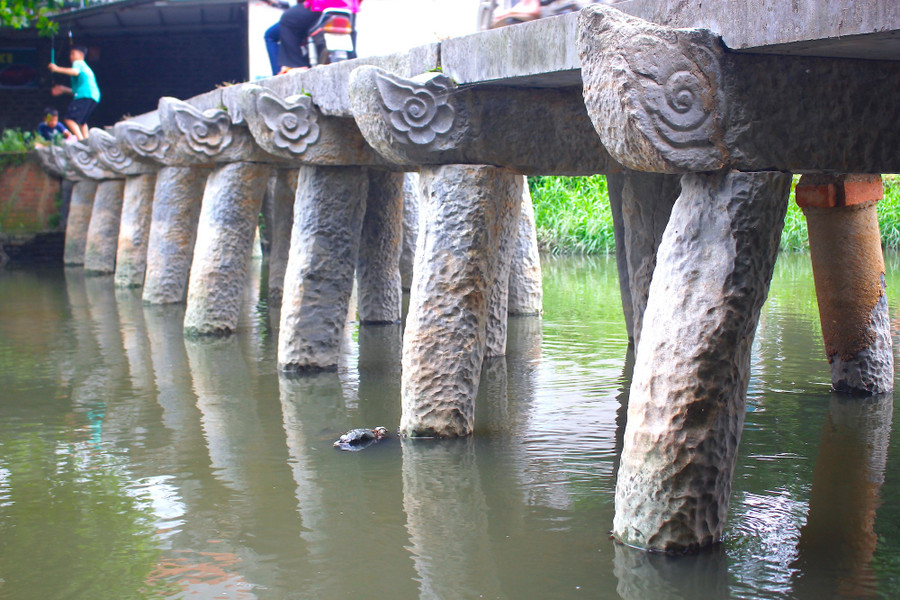 cau-da-co-doc-nhat-vo-nhi-o-bac-bo-2.jpg