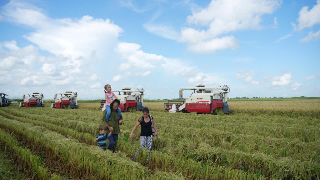“Hạt giống hạnh phúc” nghĩa tình giữa Việt Nam - Cu Ba “Hạt giống hạnh phúc” nghĩa tình giữa Việt Nam - Cu Ba