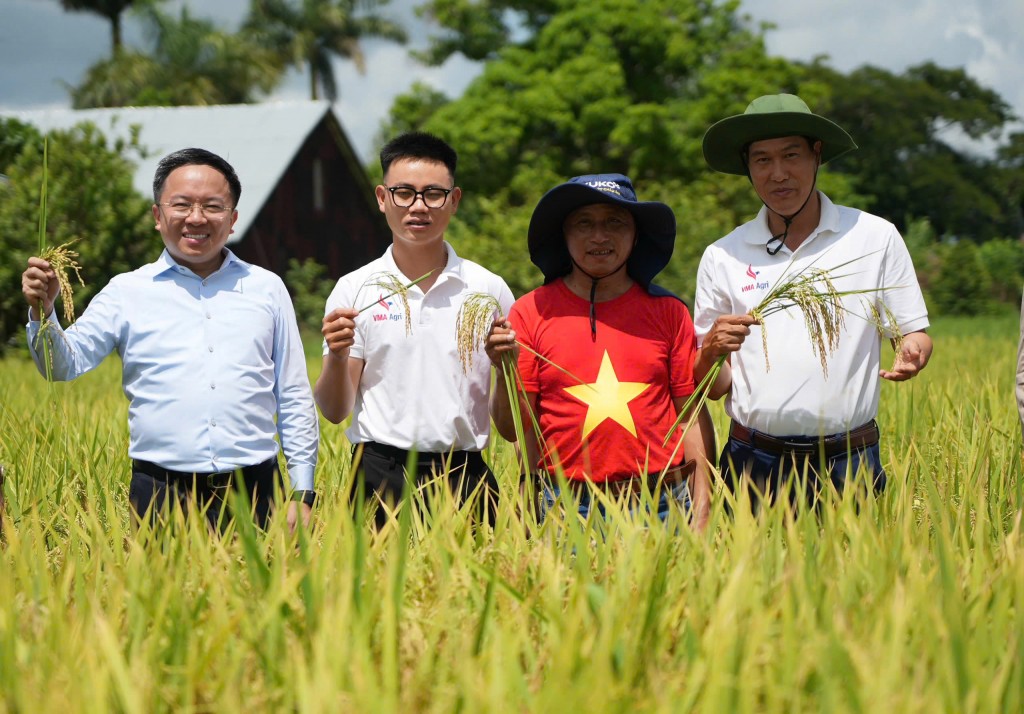 Đoàn làm phim cùng các chuyên gia Việt Nam trên cánh đồng trĩu hạt ở Cu Ba Đoàn làm phim cùng các chuyên gia Việt Nam trên cánh đồng trĩu hạt ở Cu Ba