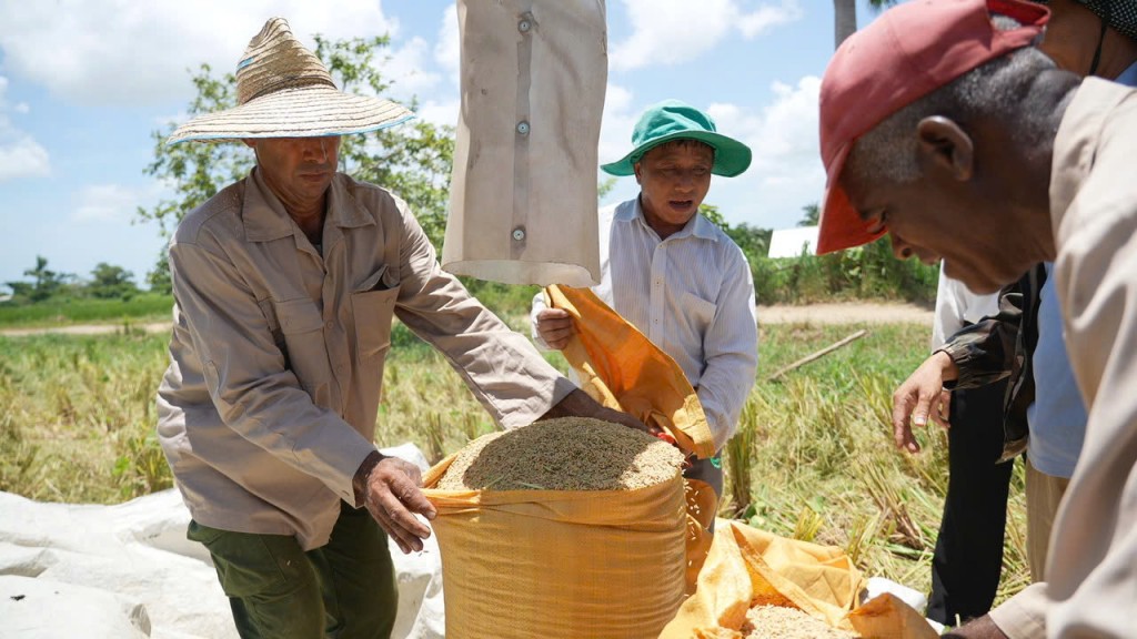 “Hạt giống hạnh phúc” nghĩa tình giữa Việt Nam - Cu Ba “Hạt giống hạnh phúc” nghĩa tình giữa Việt Nam - Cu Ba