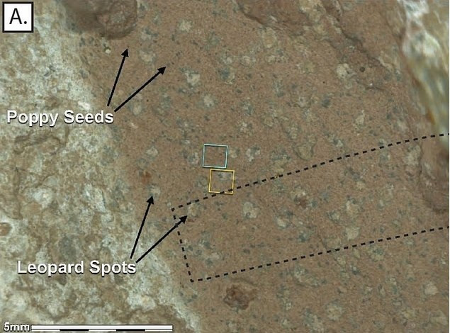 Một nghiên cứu được trình bày tháng 3/2025 đã tiết lộ bằng chứng mới về sự tồn tại của sự sống trên sao Hỏa mau-da-sapphire-canyon-he-lo-bi-an-co-the-thay-doi-hieu-biet-ve-vu-tru-2.jpg
