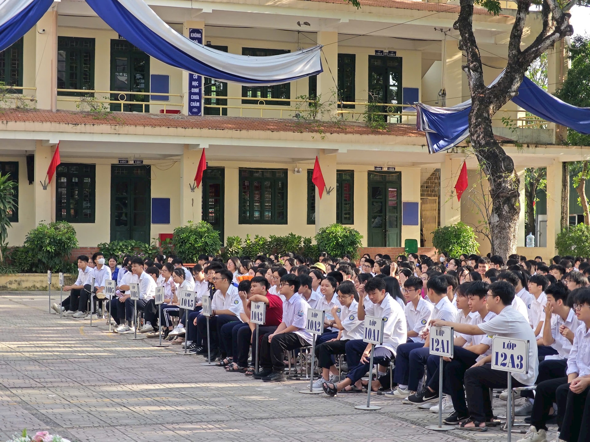 dai-mo1.jpg