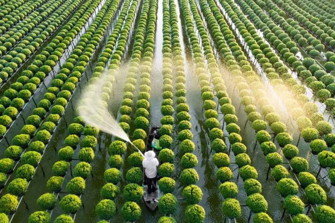 Ngân hàng Nhà nước tăng quy mô gói tín dụng nông, lâm, thủy sản