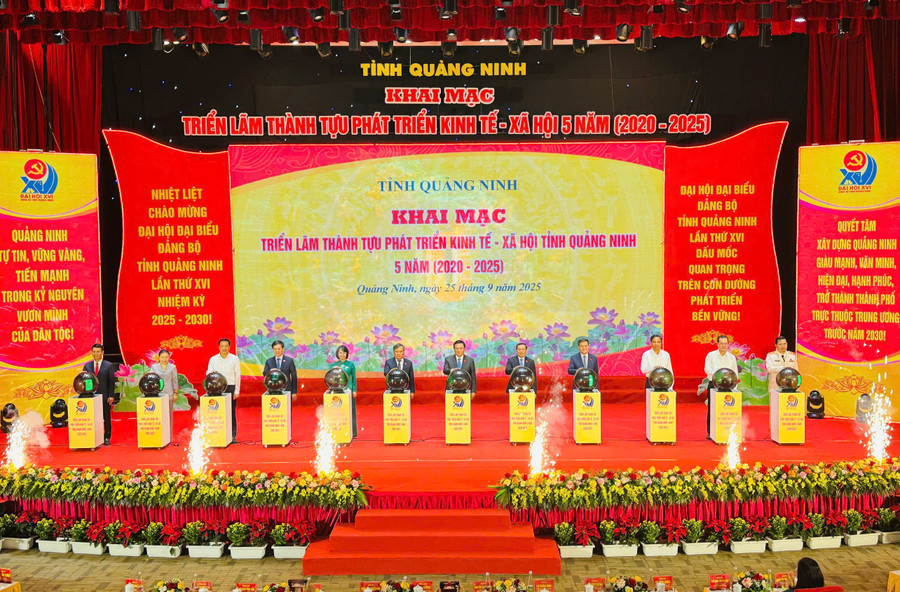 Các đại biểu bấm nút khai mạc triển lãm.