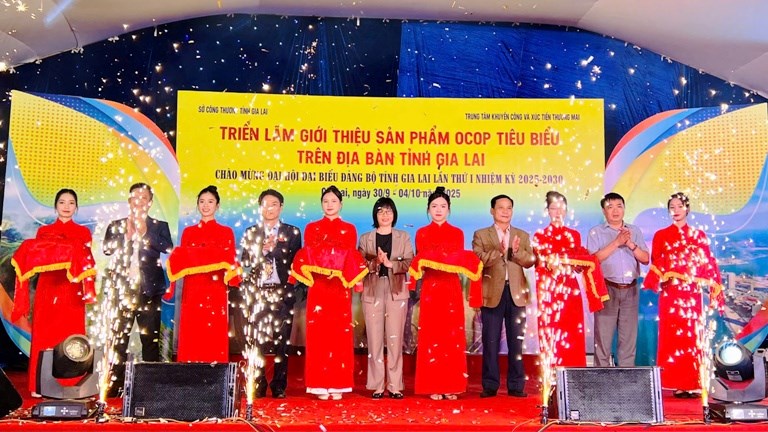 Gia Lai: Hơn 50 gian hàng tham gia Triển lãm sản phẩm OCOP tiêu biểu - ảnh 1