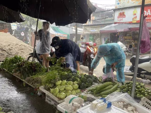 Nguồn cung rau chưa phong phú nên giá bán đứng ở mức cao