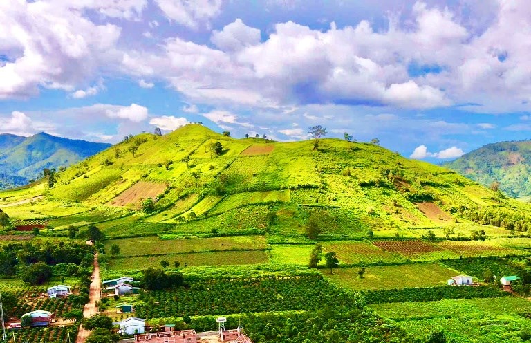 Giữa đại ngàn, Dã quỳ Chư Đang Ya nở rộ gọi mùa về - ảnh 5