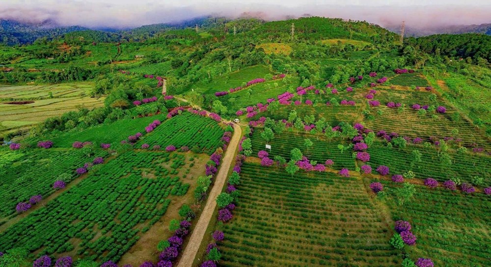 Xã Kon Plông (Quảng Ngãi): Hành trình kiến tạo điểm đến xanh giữa đại ngàn Tây Nguyên - ảnh 3