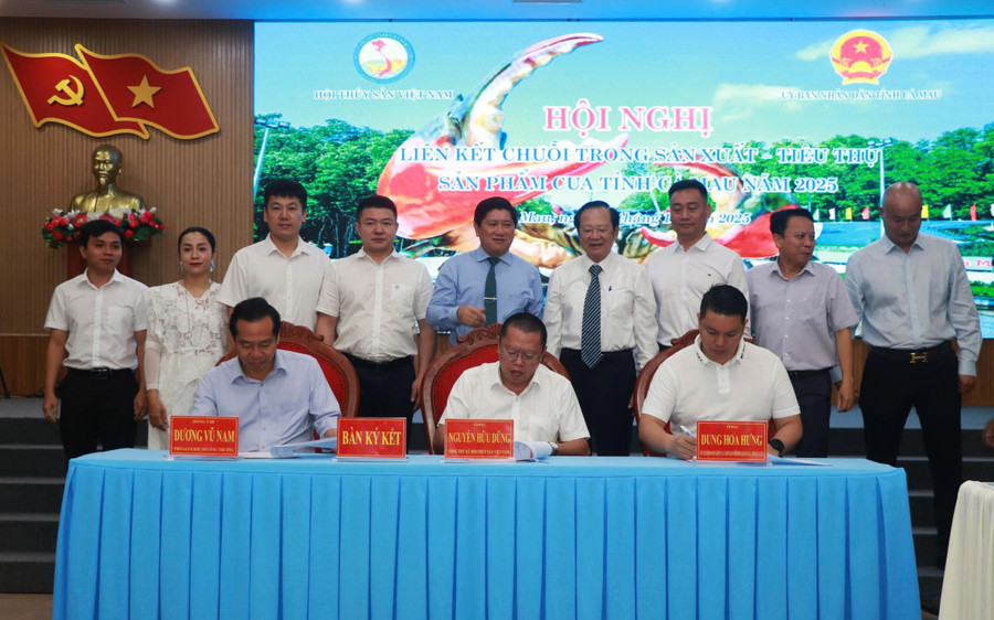 Các đơn vị ký kết hợp tác phát triển ngành hàng cua. gen-h-hn-cua-1.jpg