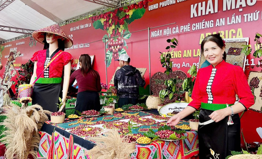 Gian hàng trưng bày cà phê giới thiệu đến khán giả. img-20251114-231442.jpg