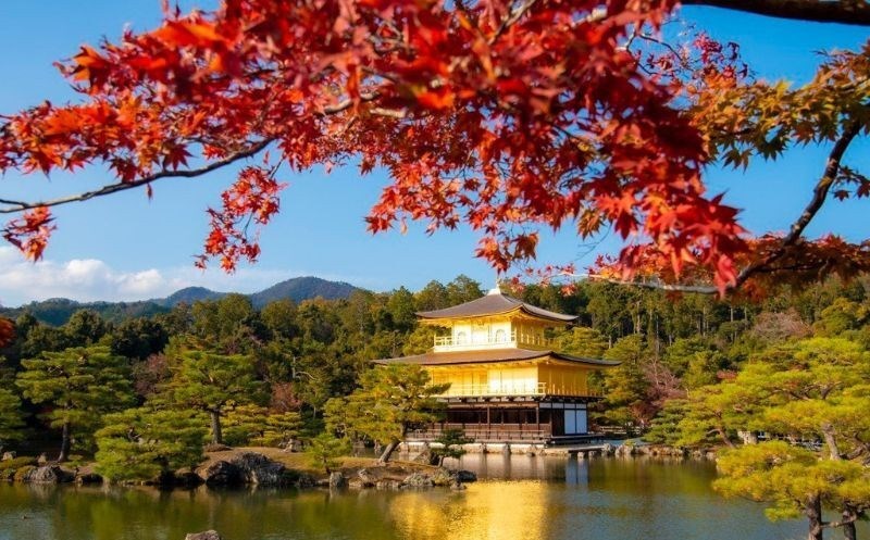 Nhật Bản - Hàn Quốc vào mùa lá đỏ rực rỡ, du khách Việt háo hức lên đường “săn thu” - ảnh 1