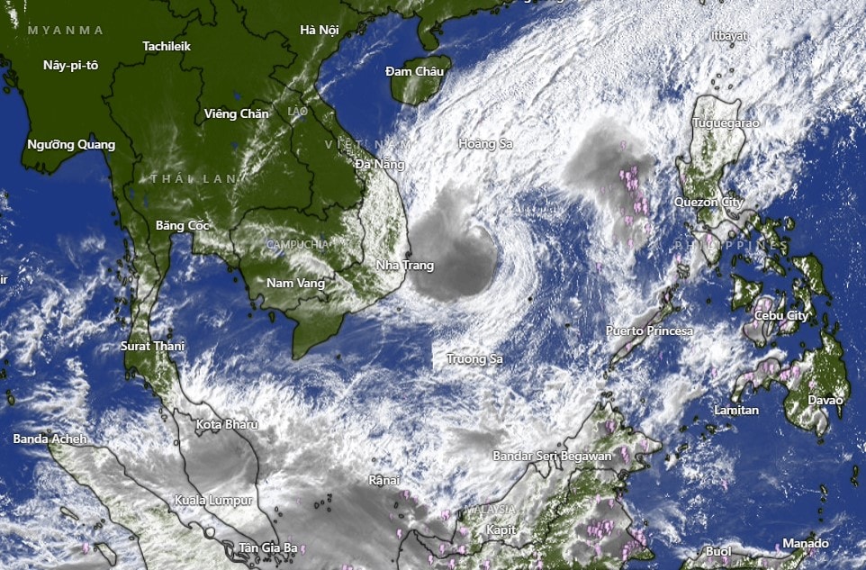 Screenshot 2025-11-28 144443