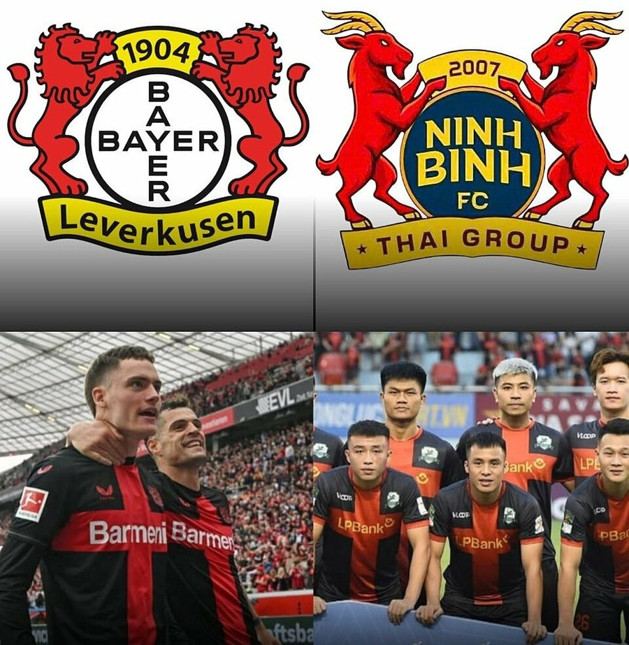 Áo đấu và logo của CLB Ninh Bình (phải) và Bayer Leverkusen. logo.jpg