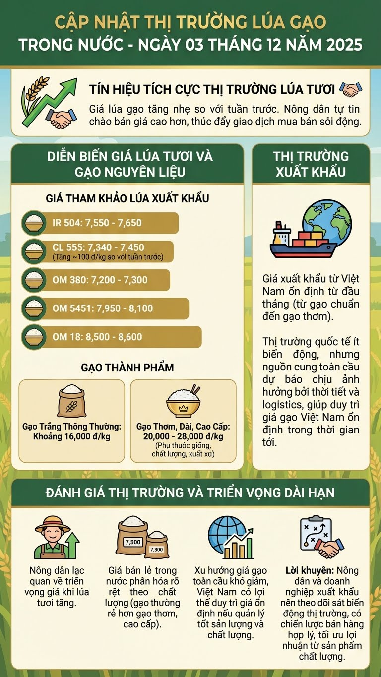 Giá lúa gạo hôm nay 3.12.2025 tăng nhẹ, gạo xuất khẩu ổn định - ảnh 2