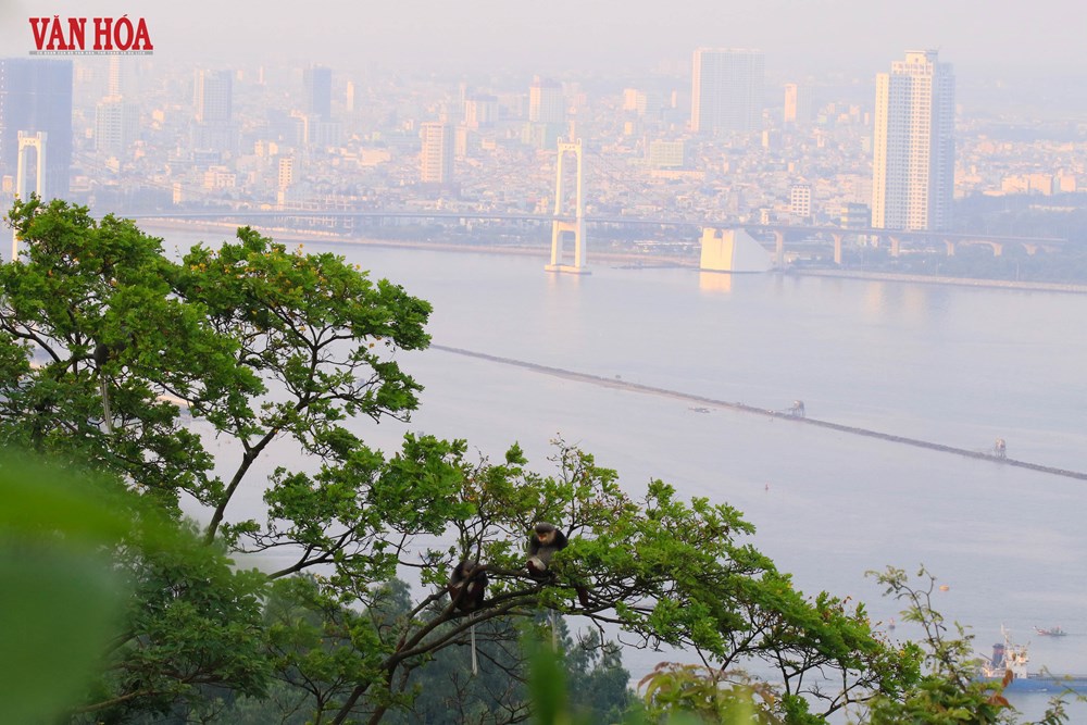 Điểm sáng châu Á trên bản đồ du lịch thế giới - ảnh 3