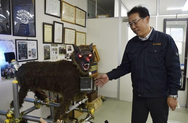 Ông Yuji Ota và "Sói quái vật" soi-quai-vat-khien-gau-chay-mat-dep-gay-sot-toan-nhat-ban-2.jpg