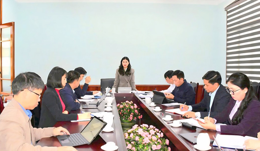 Bà Vương Ngọc Hà, Phó Chủ tịch UBND tỉnh Tuyên Quang phát biểu tại cuộc họp. (Ảnh: Tố Mai)