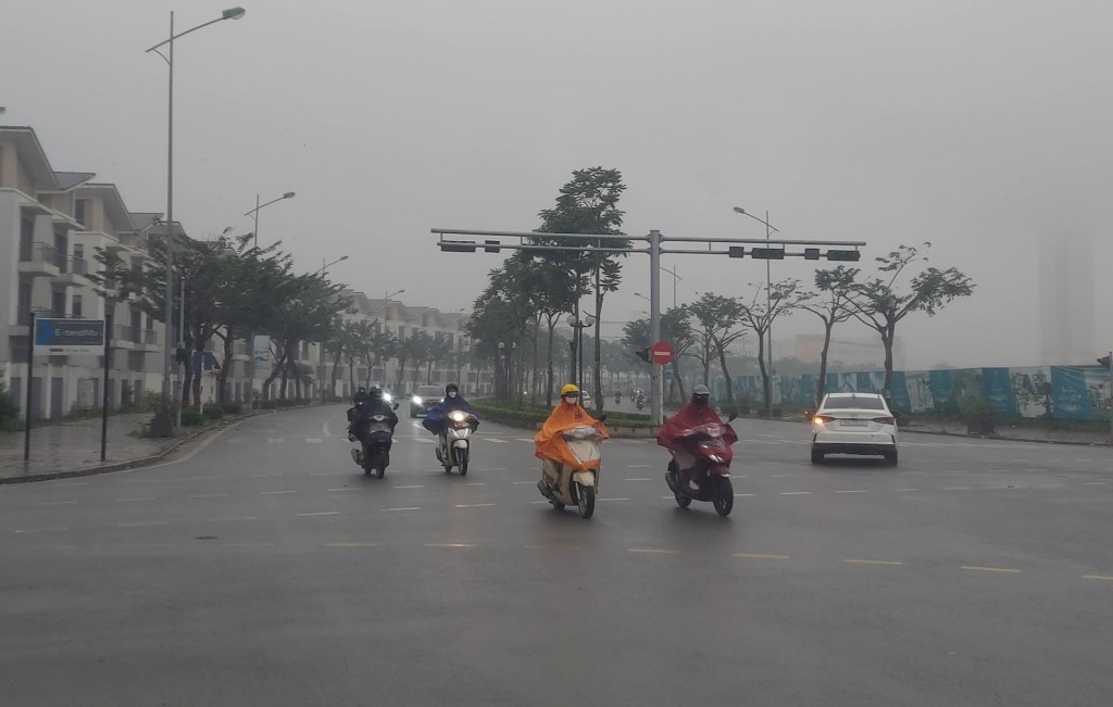 Ảnh minh hoạ Ảnh minh hoạ