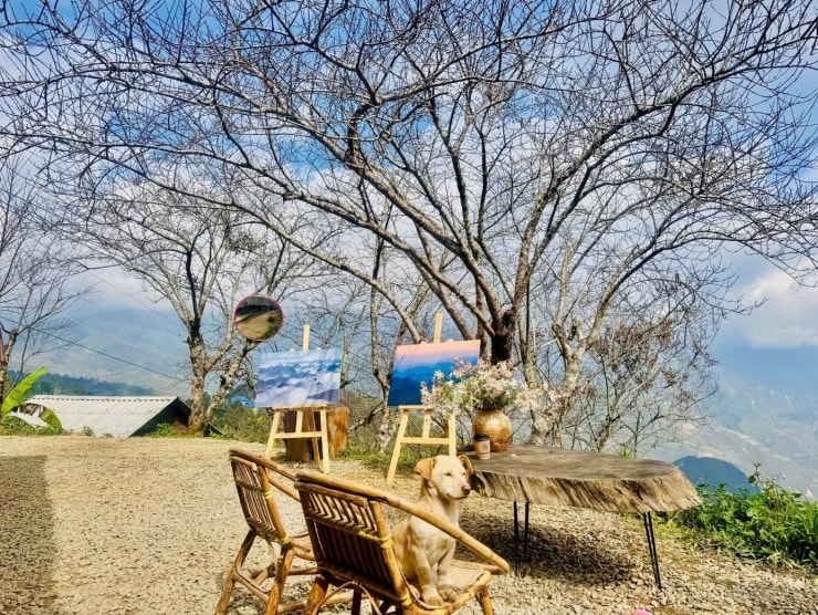 Đông đảo du khách đổ về xã Tà Xùa, Sơn La để check-in tại mái nhà gỗ đang gây sốt cộng đồng mạng.