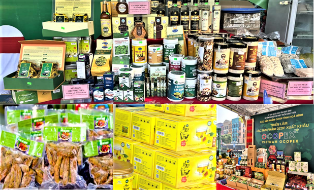 Gia tăng xuất khẩu sản phẩm OCOP Gia tăng xuất khẩu sản phẩm OCOP