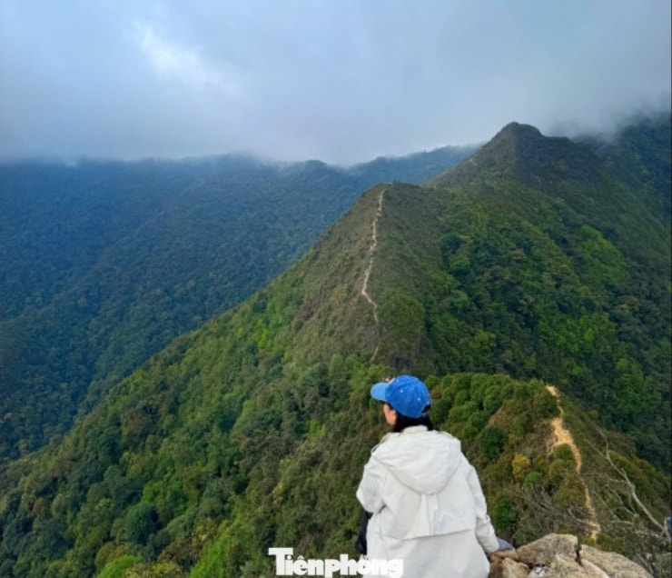 Sống lưng khủng long tại Tà Xùa