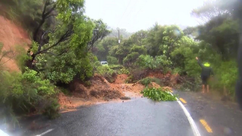 Cây cối bị bật gốc nằm rải rác trên đường phố trong các vụ sạt lở đất sat-2.jpg