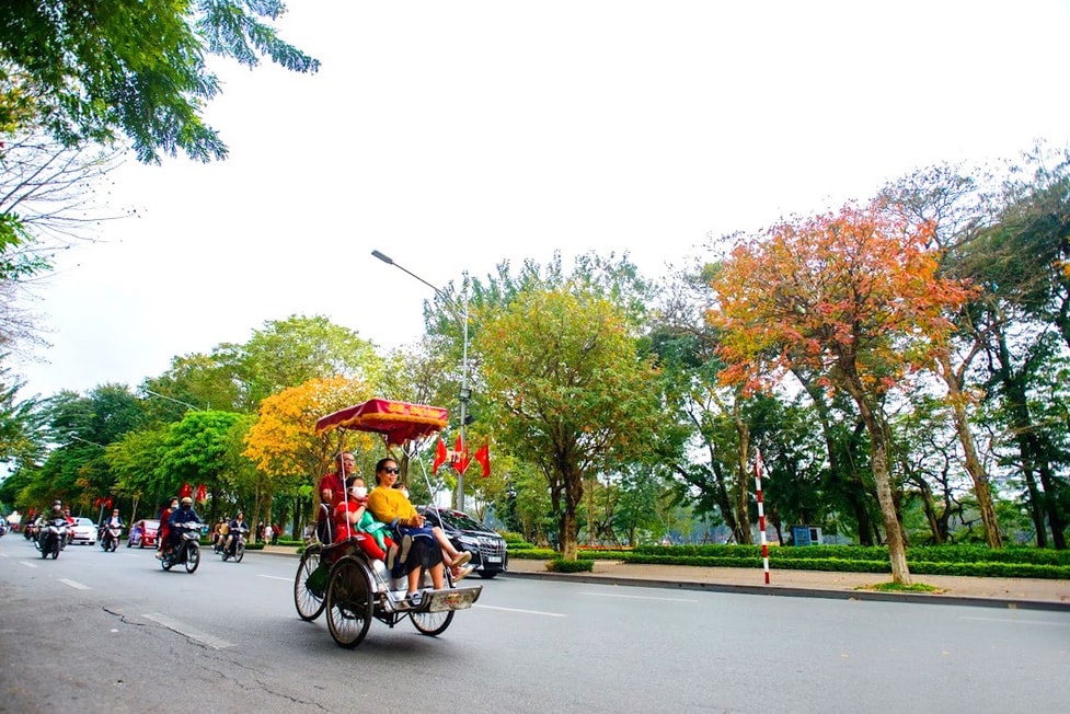 Hà Nội mùa cây cối bừng lên sức sống (Ảnh minh họa)