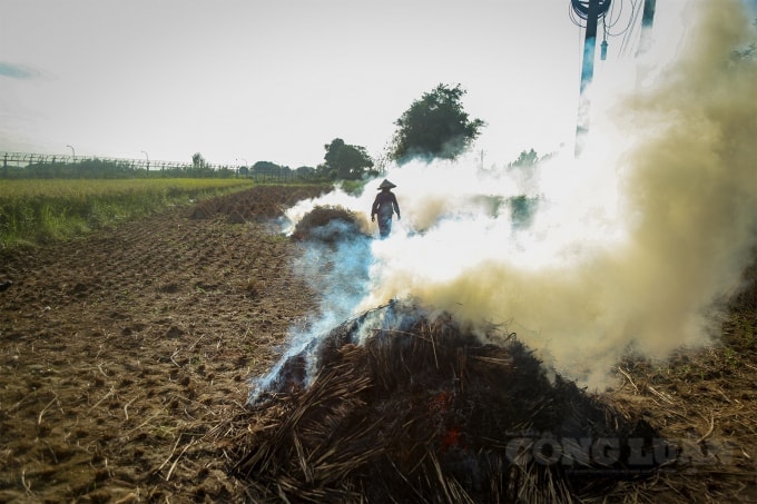 Dù đã bị cấm và có mức phạt tới 3 triệu đồng, việc đốt rơm rạ vẫn diễn ra phổ biến tại nhiều địa phương.