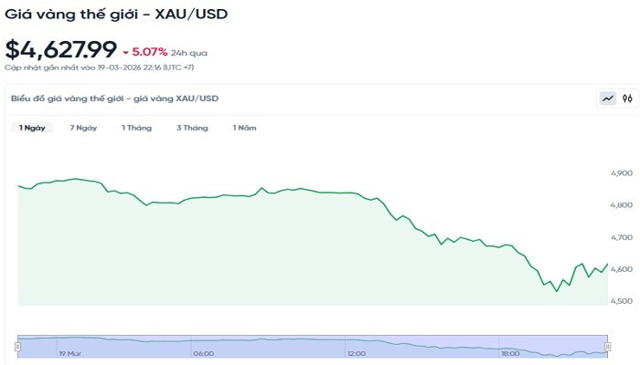 Diễn biến giá vàng thế giới trong 24h qua. bieudogiavang203.jpg
