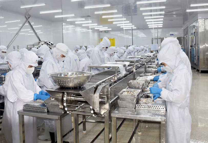 Cà Mau tăng tốc trở thành trung tâm chế biến nông - thủy sản quy mô lớn