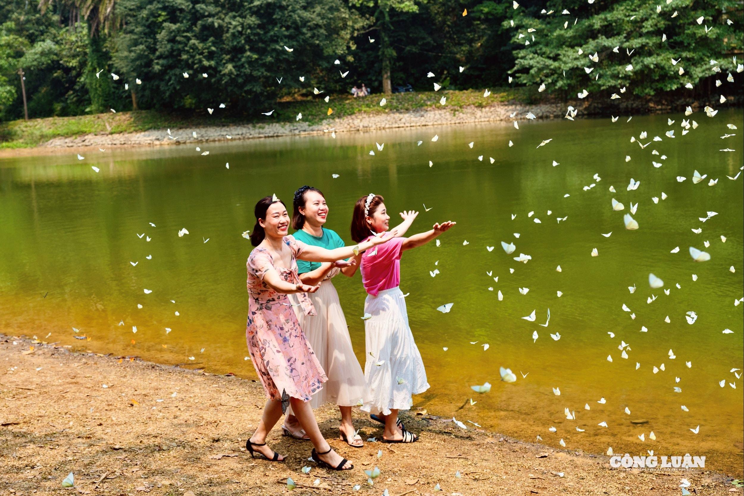 Khách du lịch thích thú trải nghiệm không gian rợp bướm