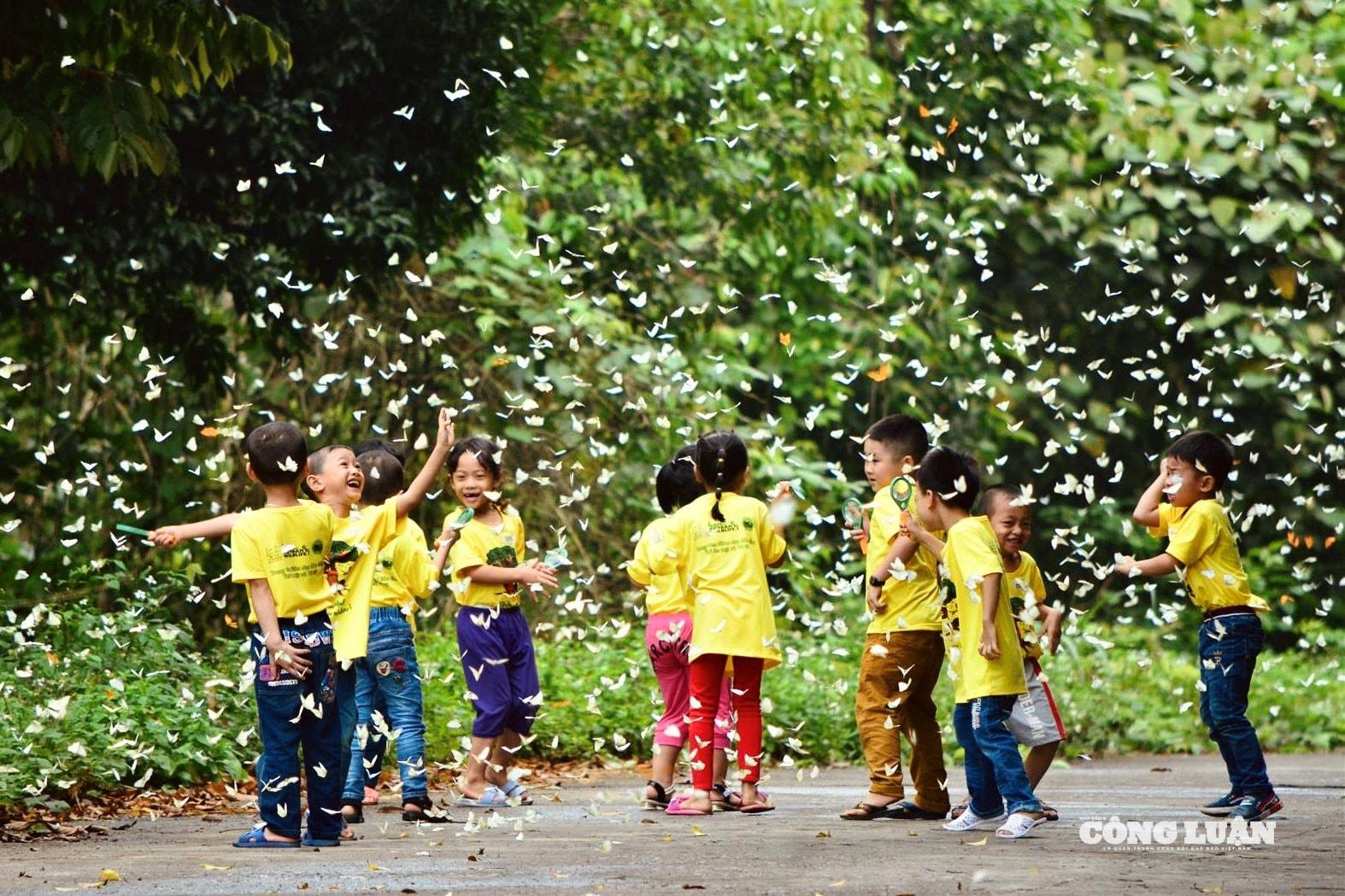 Không còn là những trang sách khô khan, các em học sinh có cơ hội trực tiếp hòa mình vào thiên nhiên kỳ thú tại rừng Cúc Phương