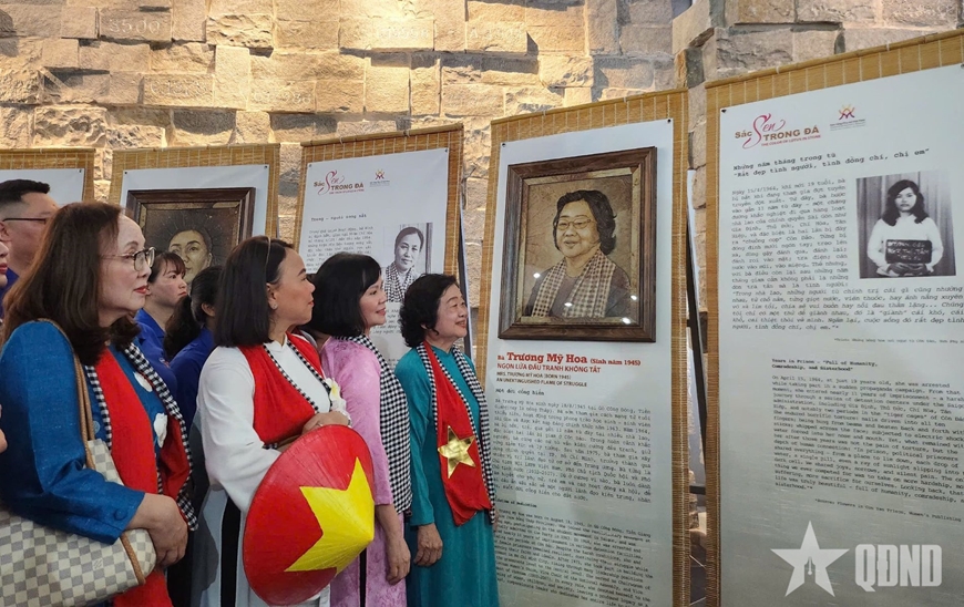 “Sen trong đá” tỏa ngát hương giữa “địa ngục trần gian” Côn Đảo