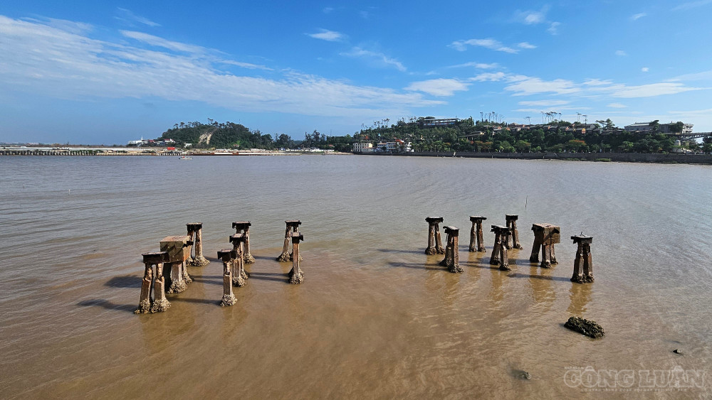 clo_br_1000216303.jpg