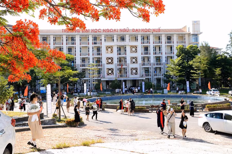 Trường ĐH Ngoại ngữ, ĐH Huế. z7849848614238-c12fe9dd04fa47bd4cf7ab03442895e4.jpg