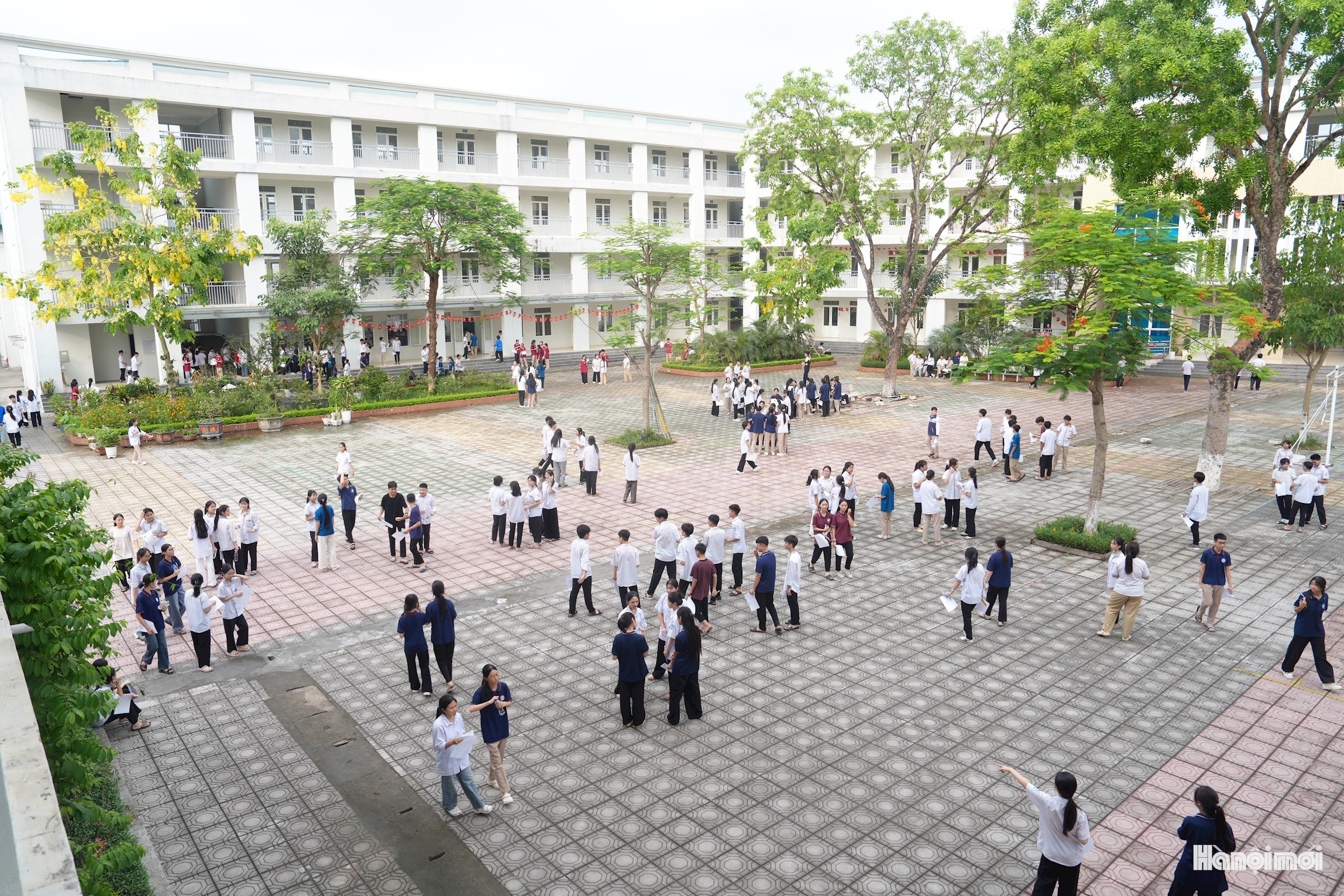 W_anh-4.jpg