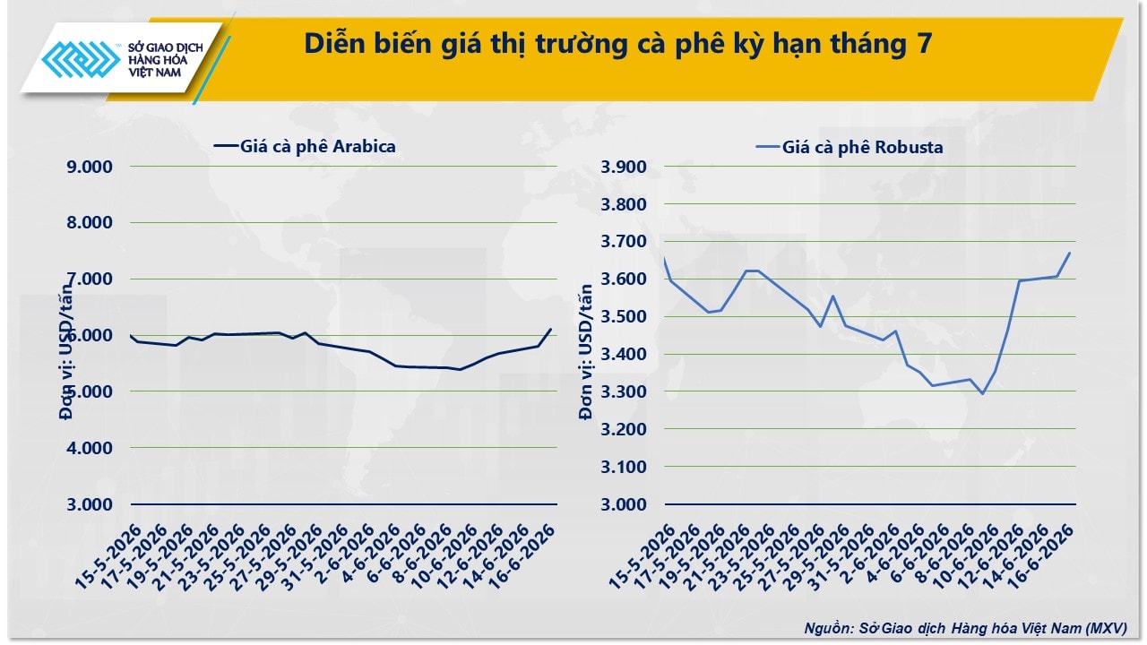 dien-bien-gia-ca-phe-ky-han-thang-7.jpg